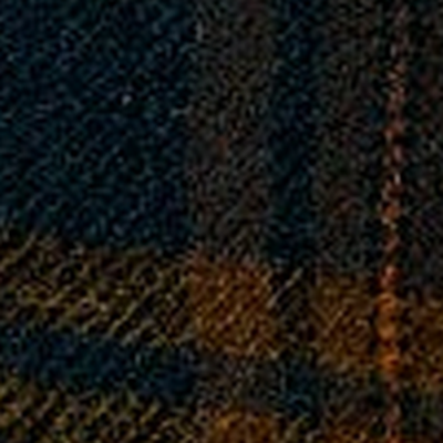 Swatch tweed vert (macro)
